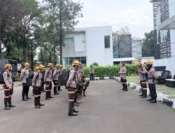 DEN K9 SAR DITPOLSATWA KORSABHARA BAHARKAM POLRI PERKUAT PENANGANAN BENCANA LONGSOR DI PASIRLANGU